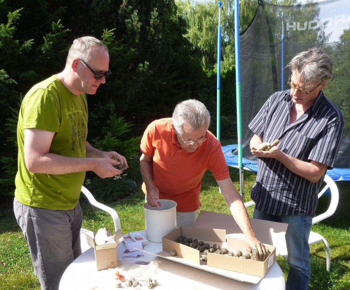 11. August – Seedballs herstellen für Urban Gardening